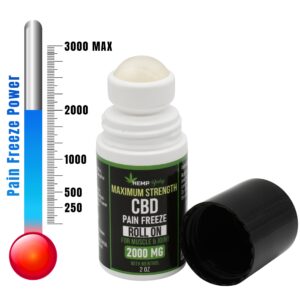2000mg-cbd-roll-on_6076c0ed-4905-48bd-b280-295625629d1f.jpg